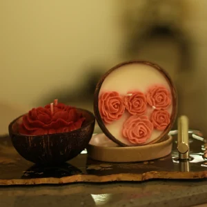 Coconut Shell